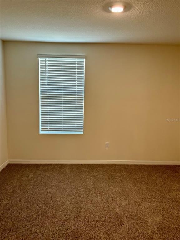 13649 Whiskey Daisy Drive - Photo 18