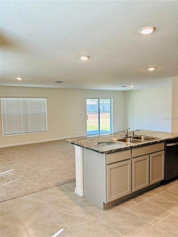 13649 Whiskey Daisy Drive - Photo 3