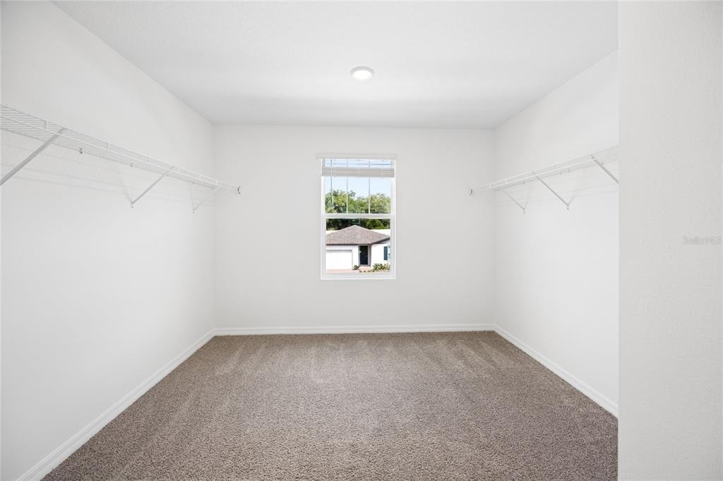 2339 White Tail - Photo 14