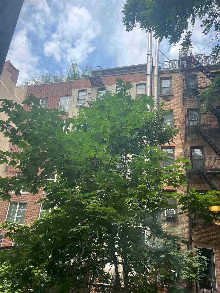 East 80th Street - Photo 7