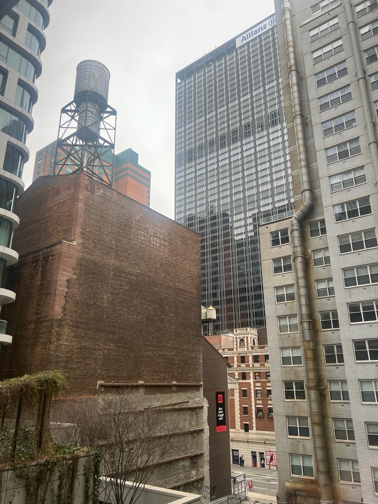 8th Avenue / W 52 St - Photo 5