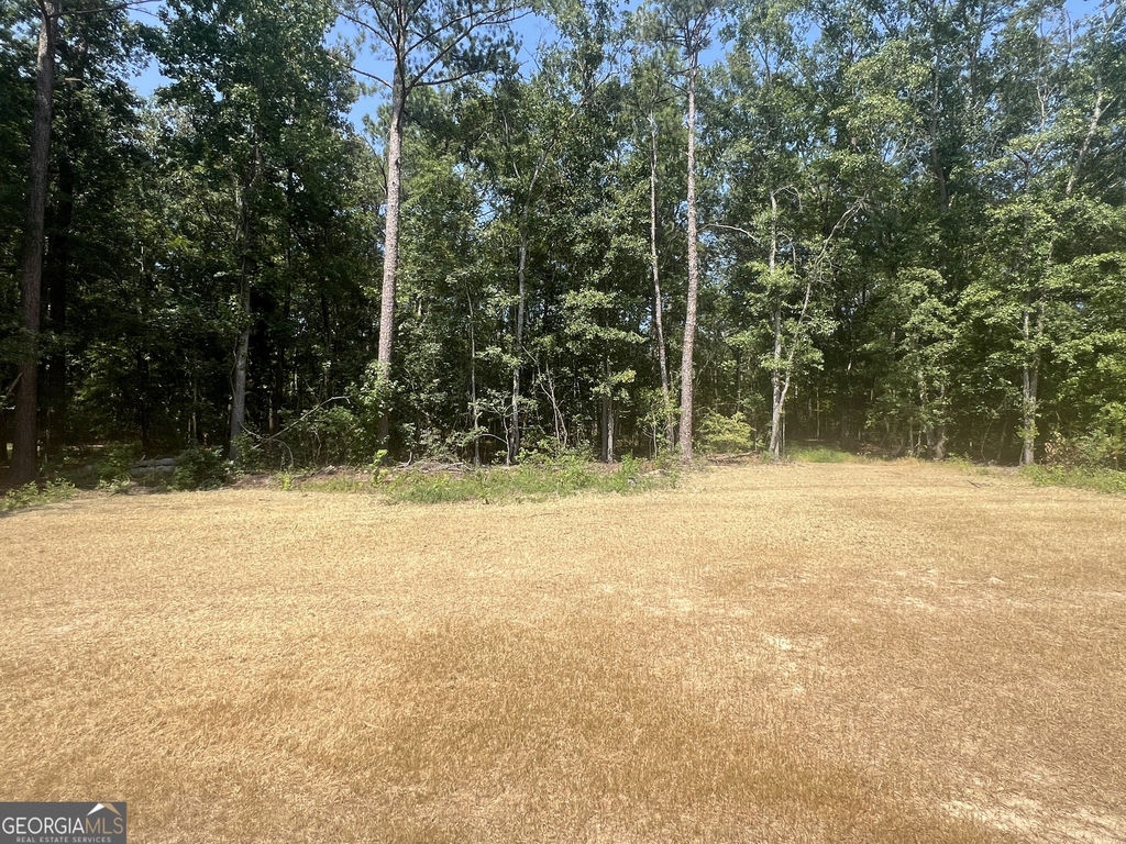 176 Country World Drive - Photo 33