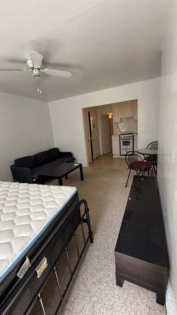 424 East 11th Street - Photo 3