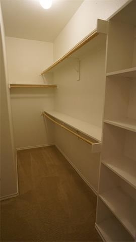 1817 Berrywood Drive - Photo 12