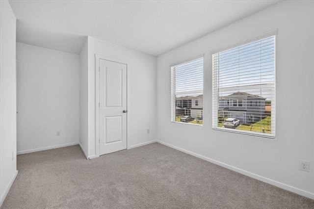 914 Sandhill Crane Lane - Photo 11
