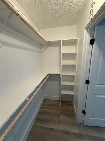 2409 Caprice Avenue - Photo 12