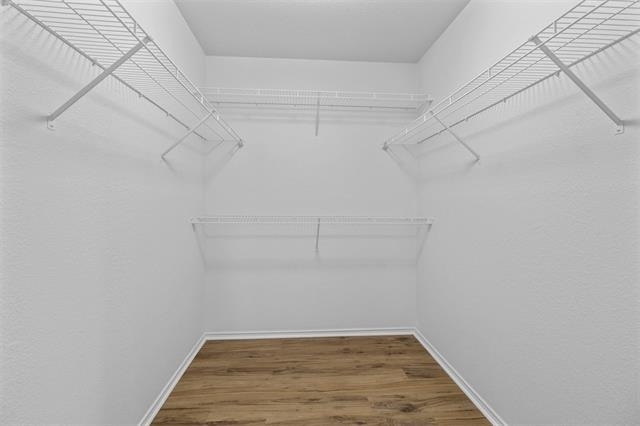 2205 Lookout Lane - Photo 30