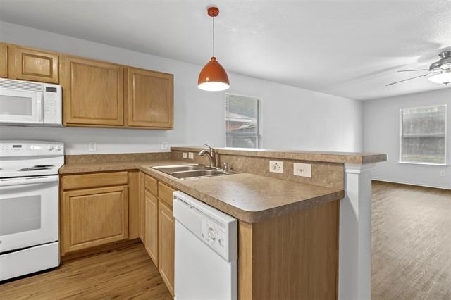 2205 Lookout Lane - Photo 9