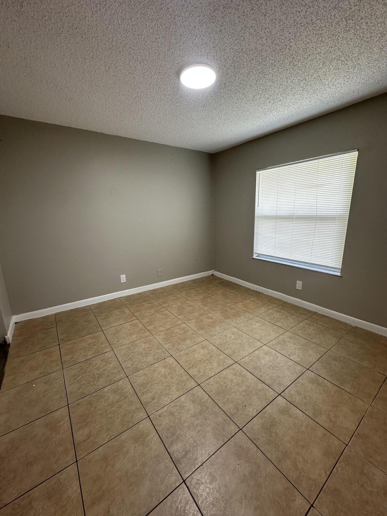 4833 Serafica Drive - Photo 5