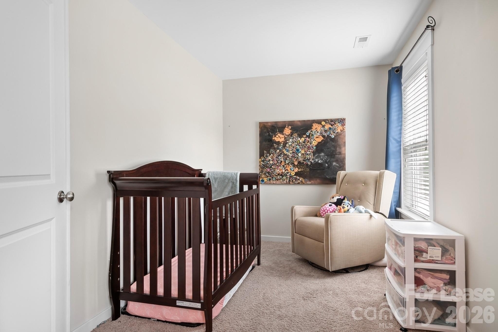 10008 Michael Crossing Drive - Photo 5