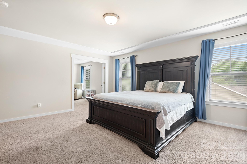 10008 Michael Crossing Drive - Photo 4