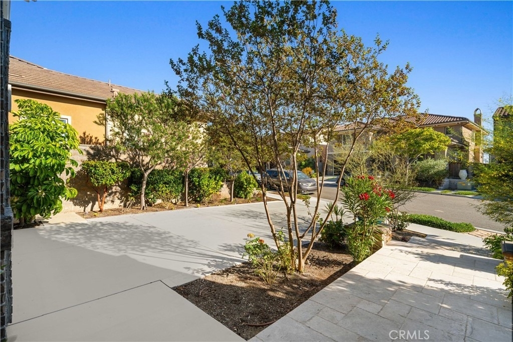 1151 Summit Oak - Photo 1