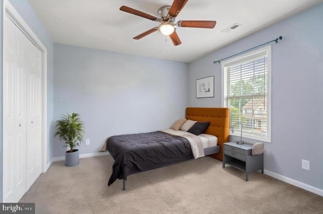 10 Sassafras Lane - Photo 14