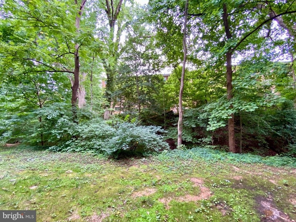1533 Colonial Drive - Photo 7