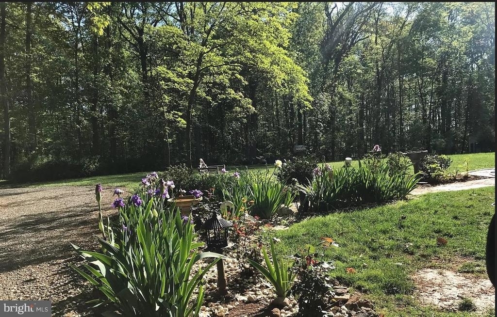 41272 Stone School Lane - Photo 15