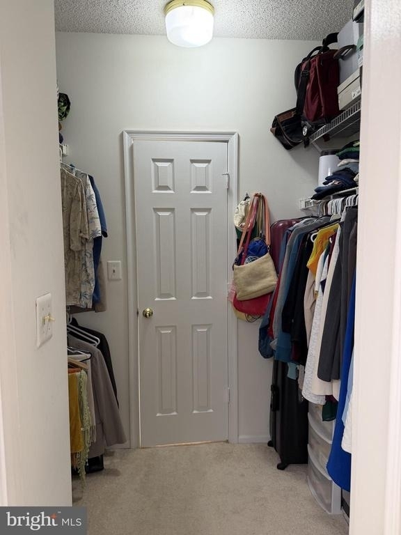 14321 Climbing Rose Way - Photo 13