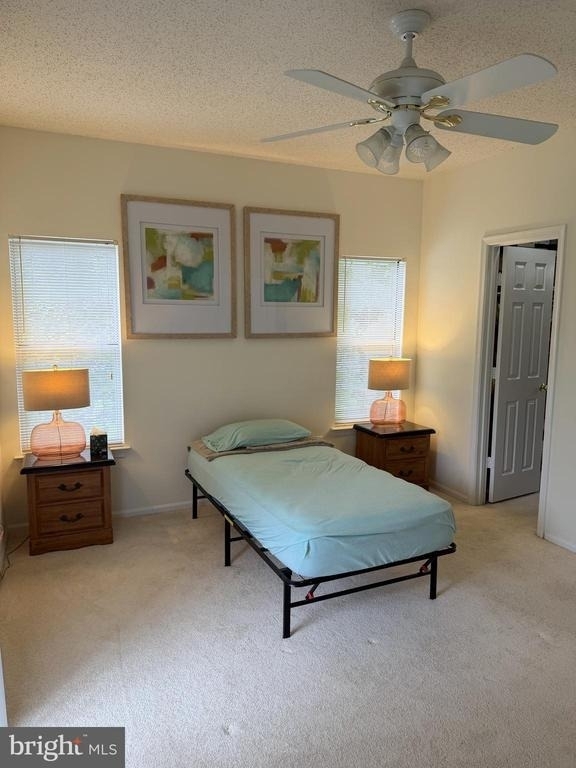 14321 Climbing Rose Way - Photo 12
