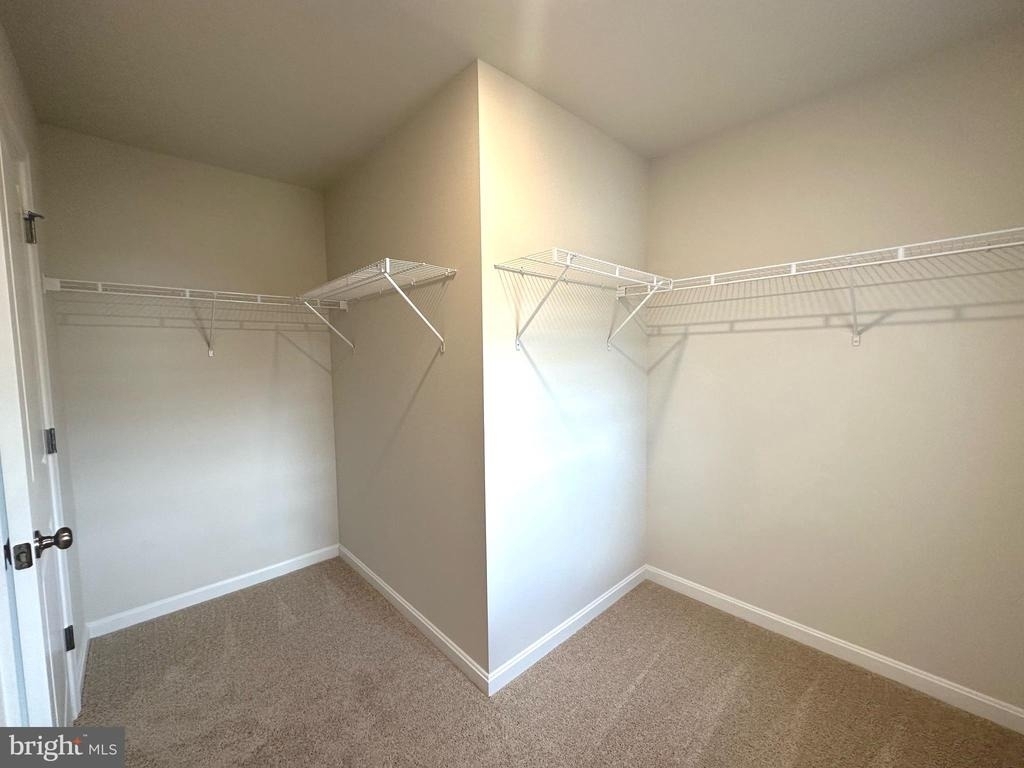 124 Charing Cross Drive - Photo 16