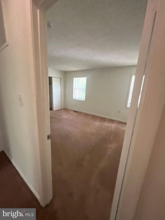 12809 Cheval Court - Photo 18