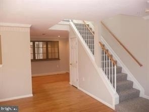 19003 Lark Song Terrace - Photo 1