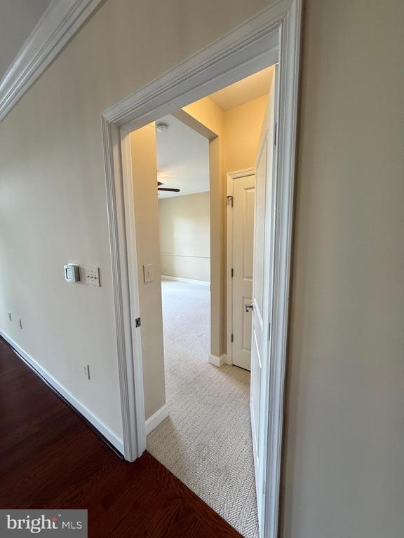 17 Clay Lodge Lane - Photo 24