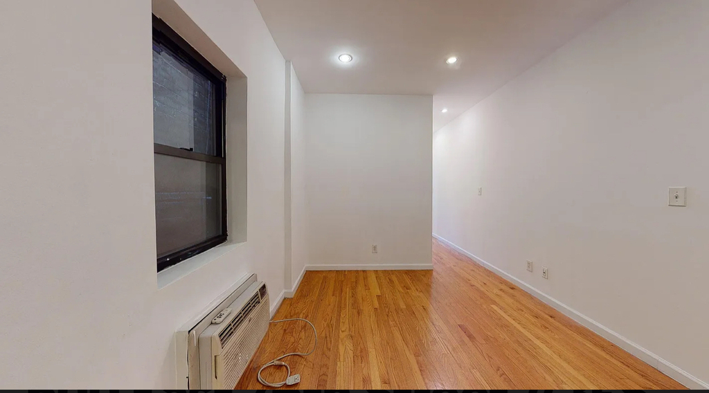 East 76th Street - Photo 4