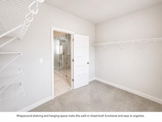 5365 Windridge Parkway - Photo 11