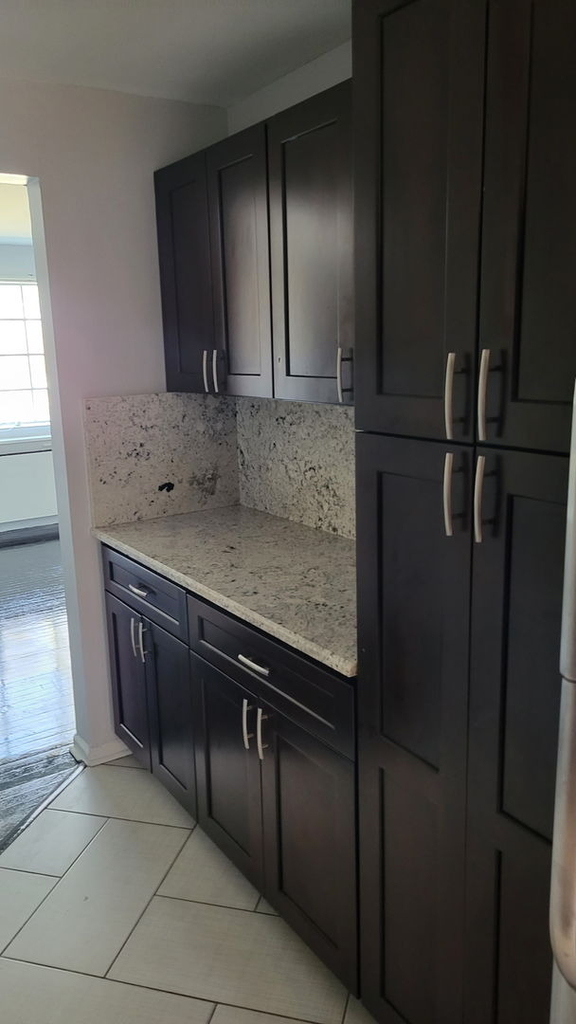 747 E 84th Place - Photo 2