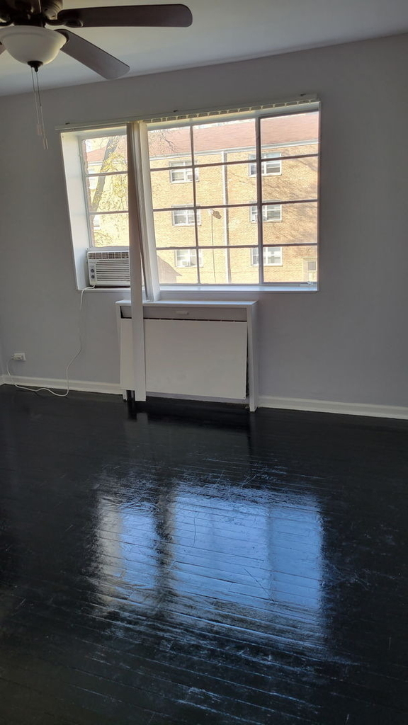 747 E 84th Place - Photo 1