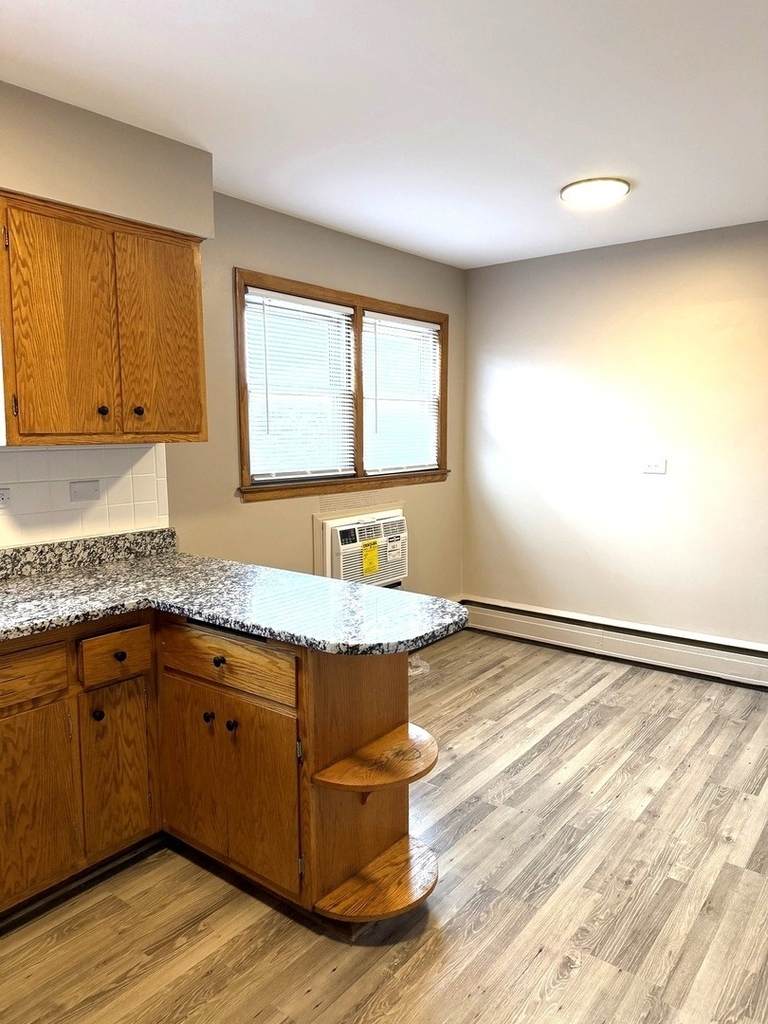 7538 Waukegan Road - Photo 2