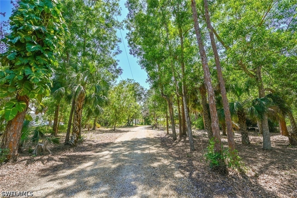 5940 English Oaks Lane - Photo 4
