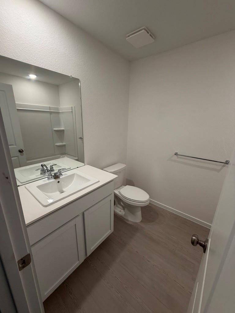 26826 Zebra Grass Drive - Photo 11