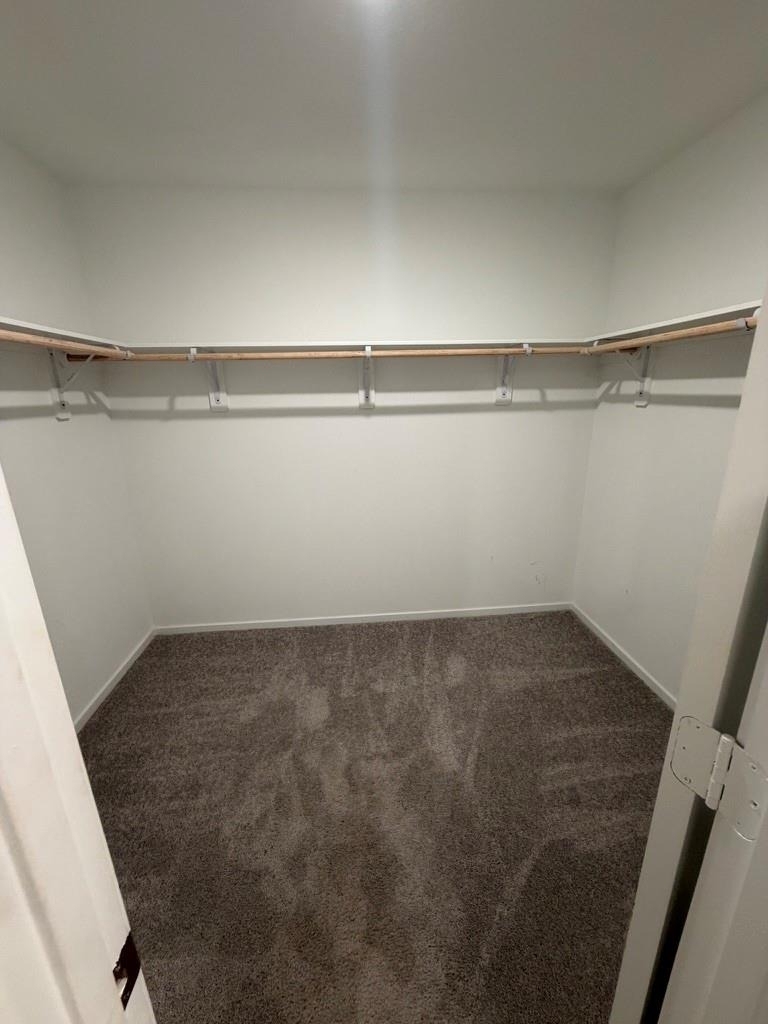 26826 Zebra Grass Drive - Photo 7