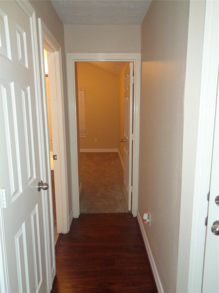 19017 Hammer Lane - Photo 15