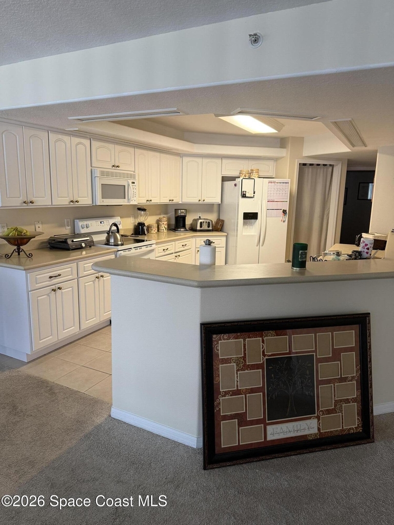 8914 Puerto Del Rio Drive - Photo 4