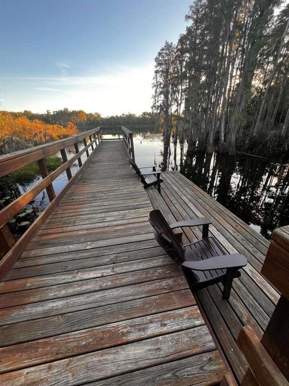 14234 Damselfly Drive - Photo 9