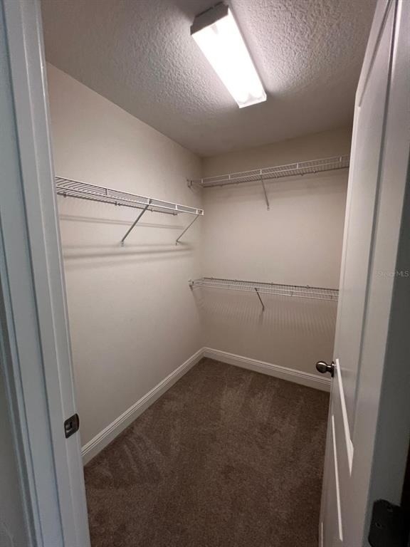 14234 Damselfly Drive - Photo 12
