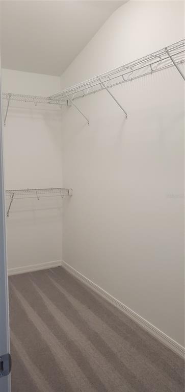 29821 Southwell Lane - Photo 6