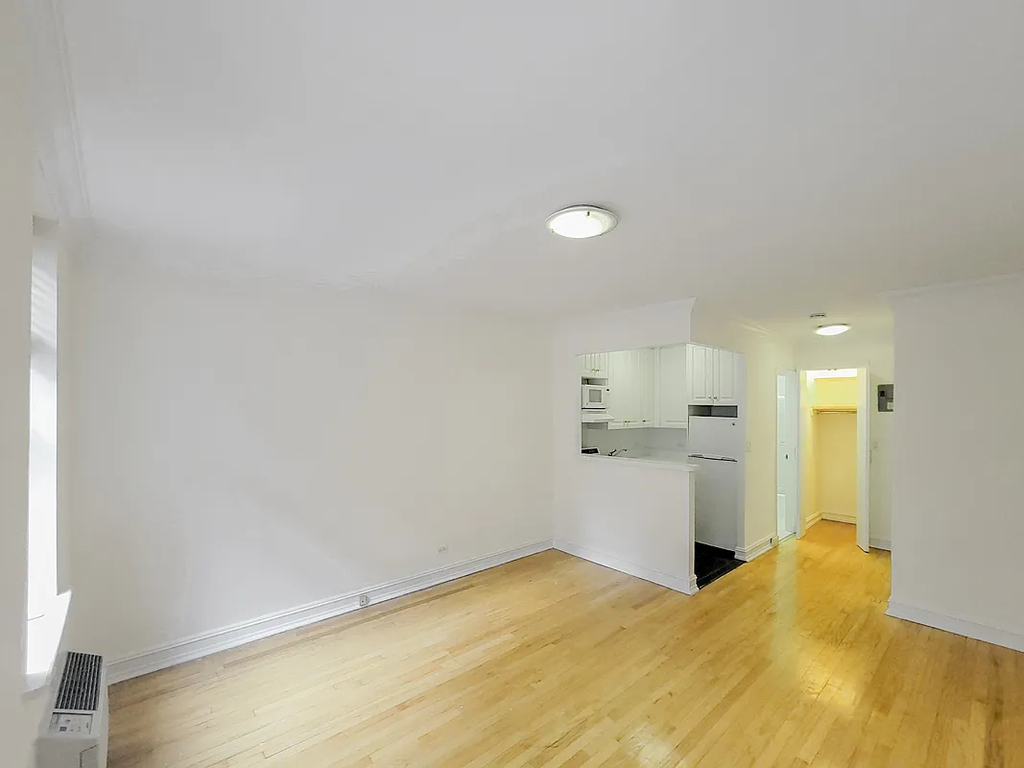 241 East 46th Street - Photo 4