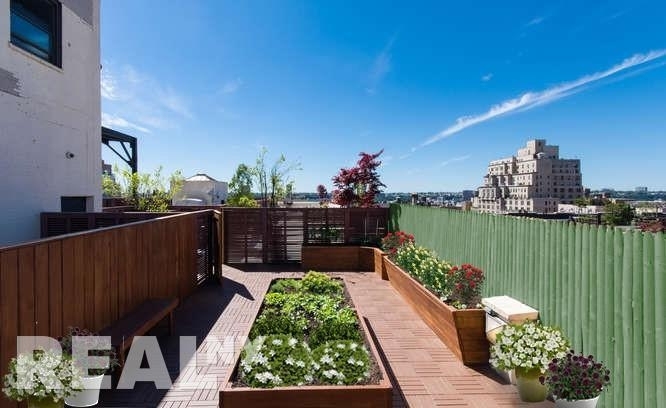 West 91st Street - Photo 4