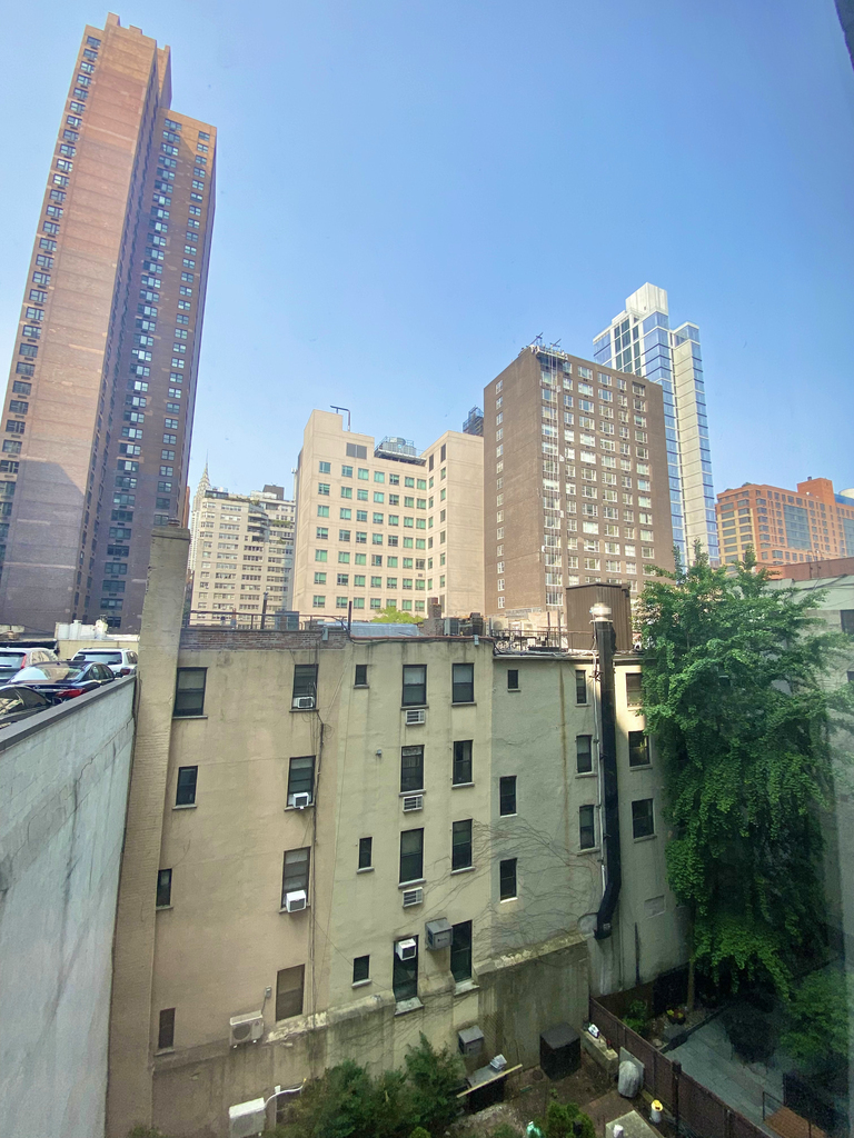 Kips Bay & Midtown East - Photo 6