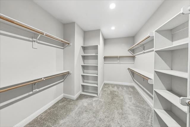 11737 Pistachio Trail - Photo 12
