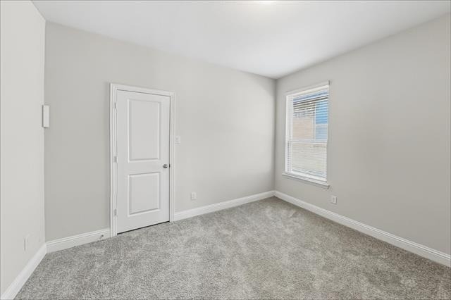 11737 Pistachio Trail - Photo 13
