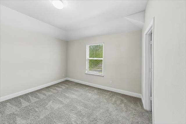11737 Pistachio Trail - Photo 15