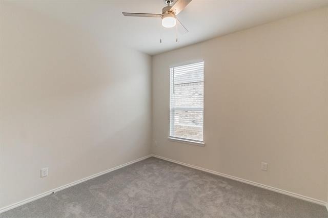 804 Cormorant Street - Photo 14