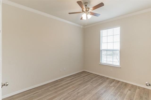 804 Cormorant Street - Photo 4