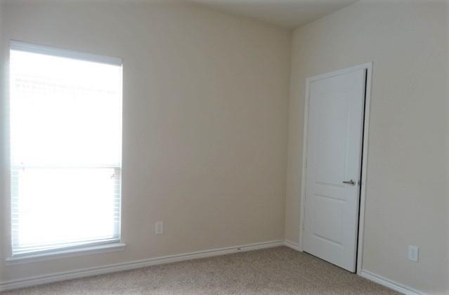 5547 Cecina Drive - Photo 12