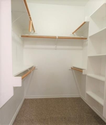 5547 Cecina Drive - Photo 11
