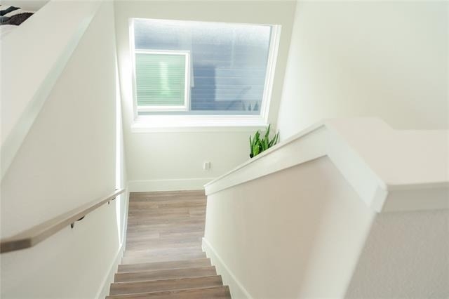 1006 Barsotti Court - Photo 16