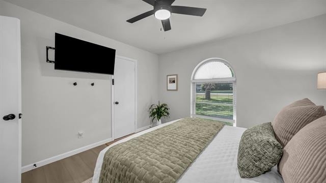 311 Casas Del Sur Street - Photo 15